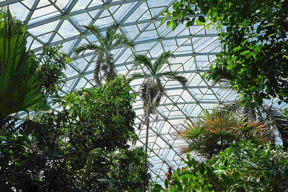 images_my_ideas_ 28/28_SHUT_stimulus_geodesic_botanical_garden.jpg